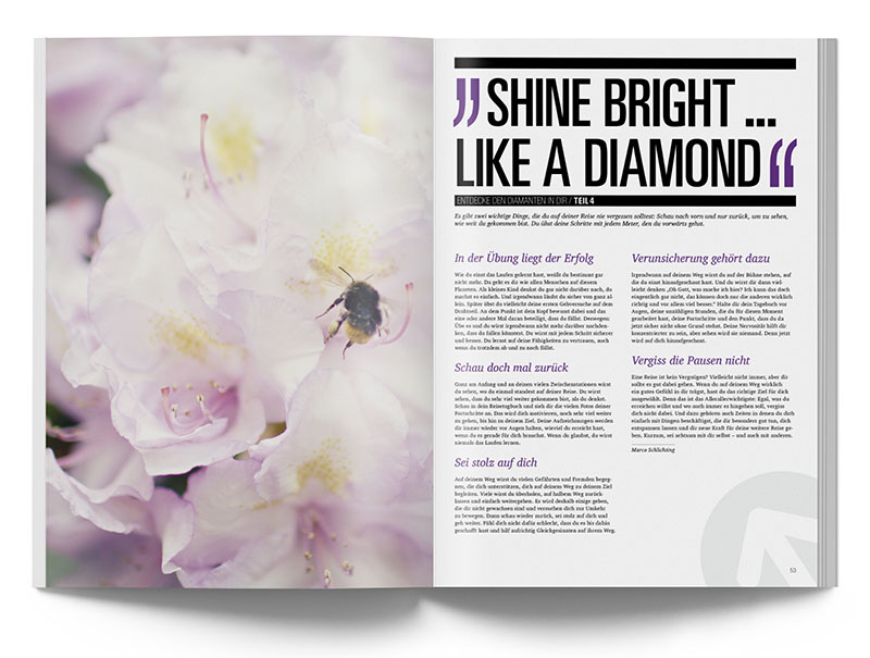 Pole Art Magazine Nr. 4 - Shine Bright Like A Diamond Entdecke den Diamanten in dir (Teil 4)